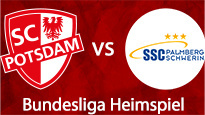 SC Potsdam - SSC Palmberg Schwerin SC Potsdam - SSC Palmberg Schwerin