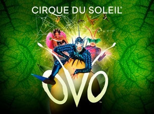 Cirque du Soleil: OVO Cirque du Soleil: OVO
