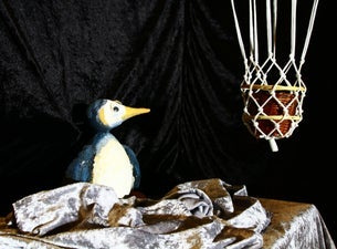 Ein Pinguin namens Lindberg Ein Pinguin namens Lindberg