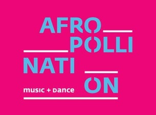Afropollination - Binghi, Miziguruka, Pö, Violence Gratuite Afropollination - Binghi, Miziguruka, Pö, Violence Gratuite