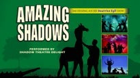 AMAZING SHADOWS