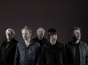 The Analogues