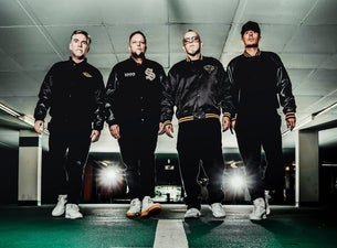 Die Fantastischen Vier