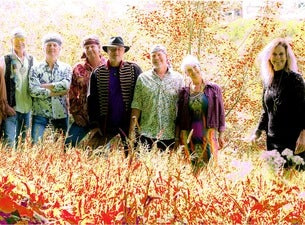 Woodstock Tribute Band