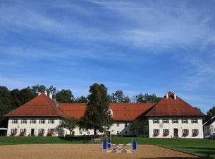 Gestütsschau Schwaiganger Gestütsschau Schwaiganger