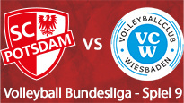 SC Potsdam - VC Wiesbaden