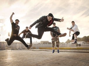 Zebrahead