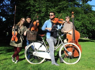 Musik im Grünen