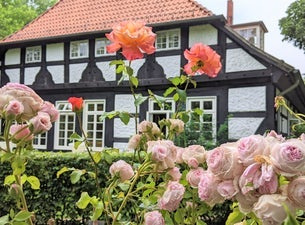 Rosenfest Heiligenberg
