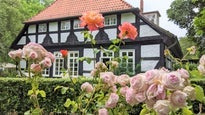 Rosenfest Heiligenberg 10 -18 Uhr