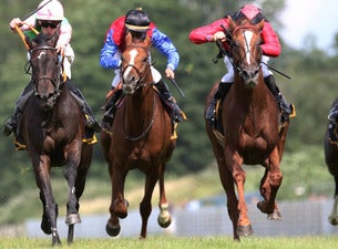 Galopprennbahn Dortmund: 34. Preis der Wirtschaft – Gruppe III Rennen Galopprennbahn Dortmund: 34. Preis der Wirtschaft – Gruppe III Rennen