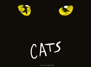 Cats Cats