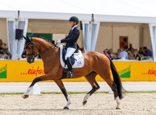 Verden International