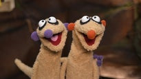 Jan & Henry - Die Bühnenshow mit den beliebten Erdmännchen