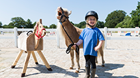 Spende - Pferde für unsere Kinder e. V.