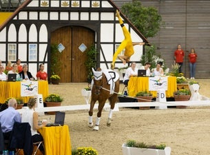 Deutsche Meisterschaft Voltigieren 2023 - Dauerkarte 15.-17.09. Deutsche Meisterschaft Voltigieren 2023 - Dauerkarte 15.-17.09.