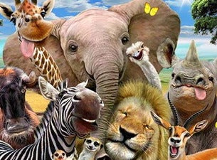 Die Konferenz der Tiere
